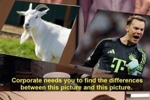 GOAT！拜仁官推晒梗图：诺伊尔=山羊🐐