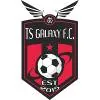TS银河