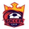 萨加